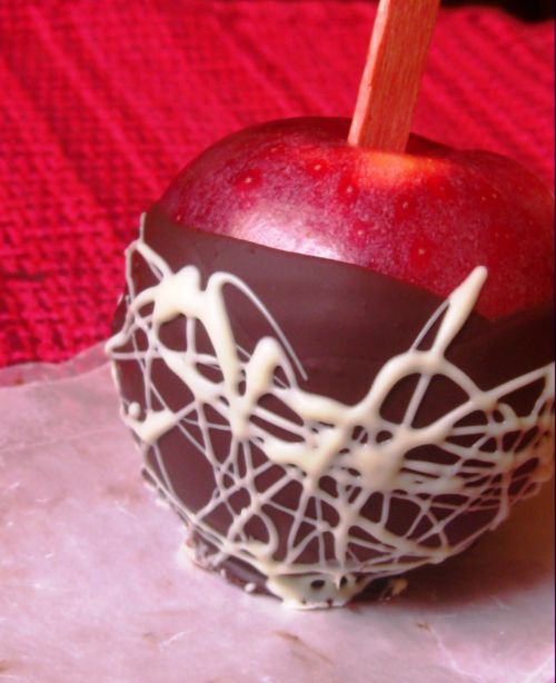 Chocolate Dipped Apples